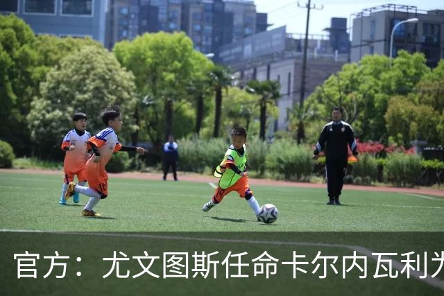 官方：尤文图斯任命卡尔内瓦利为新CEO兼总经理